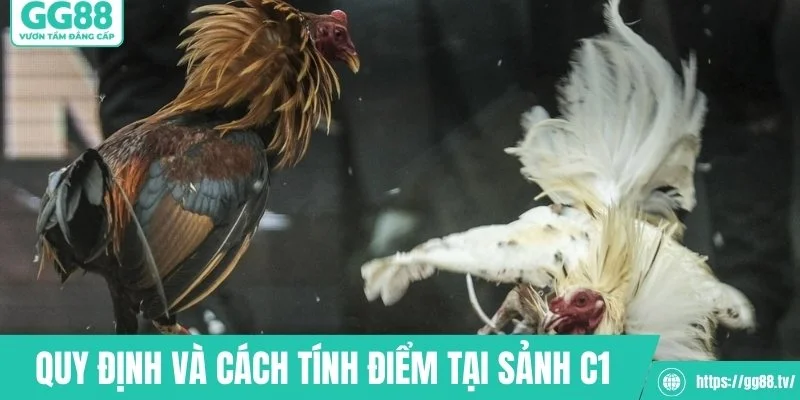 Những quy định cơ bản và cách tính điểm tại sảnh C1